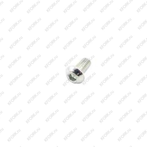 Болт RL487807 Mitsubishi